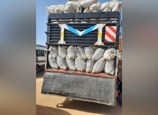 مكافحة التهريب بالجزيرة تضبط حبوب تسمين وكريمات(بالعريباب) داخل ذرة مكافحة التهريب بالجزيرة تضبط حبوب تسمين وكريمات(بالعريباب) داخل ذرة