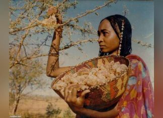 السودان ينتج اطنانا من سلعة عالمية السودان ينتج اطنانا من سلعة عالمية