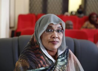 وزارة الثقافة تحتفل بتدشين المجموعة القصصية للكاتبة أمينة الفضل وزارة الثقافة تحتفل بتدشين المجموعة القصصية للكاتبة أمينة الفضل