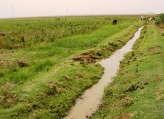 انذار قانوني لمحافظ مشروع الجزيرة عمر مرزوق انذار قانوني لمحافظ مشروع الجزيرة عمر مرزوق