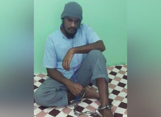 عادل عبدالغني: قرار الإفراج عن نجل أبوزيد نهائي عادل عبدالغني: قرار الإفراج عن نجل أبوزيد نهائي