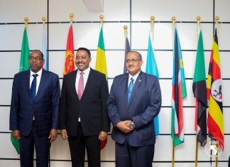 مبعوث السودان لمبادرة الحلول المستدامة يبحث خارطة الطريق مع سكرتيرالإيقاد. مبعوث السودان لمبادرة الحلول المستدامة يبحث خارطة الطريق مع سكرتيرالإيقاد.