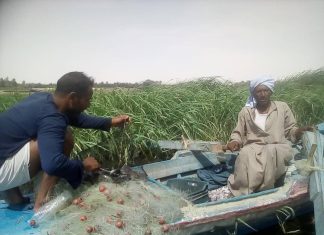 مقومات وفرص الإستثمار في إنتاج الأسماك بالنيل الأبيض مقومات وفرص الإستثمار في إنتاج الأسماك بالنيل الأبيض