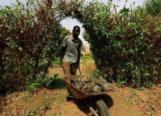 الخرطوم وتل أبيب.. علاقة “خبيثة” تفسد السلة الغذائية السودانية الخرطوم وتل أبيب.. علاقة "خبيثة" تفسد السلة الغذائية السودانية