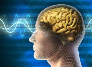 4 نصائح تساعدك على تسخير قوة الدماغ وتجعله أكثر حدة 4 نصائح تساعدك على تسخير قوة الدماغ وتجعله أكثر حدة