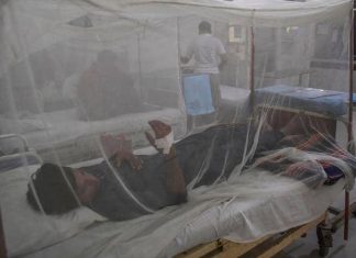 وفاة مواطنين و(770) حالة اشتباه بحمى الضنك وفاة مواطنين و(770) حالة اشتباه بحمى الضنك