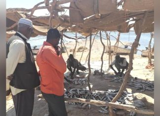 الشمالية:منسق تنظيمات الانتاج الزراعي يختتم طوافه لمحليتي الدبة وحلفا الشمالية:منسق تنظيمات الانتاج الزراعي يختتم طوافه لمحليتي الدبة وحلفا