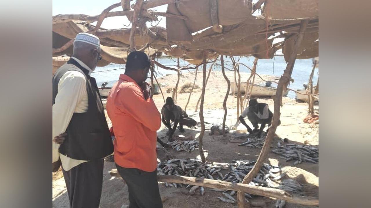 الشمالية:منسق تنظيمات الانتاج الزراعي يختتم طوافه لمحليتي الدبة وحلفا الشمالية:منسق تنظيمات الانتاج الزراعي يختتم طوافه لمحليتي الدبة وحلفا