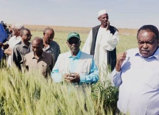 محافظ مشروع الجزيرة يعلن حملة لنظافة الغيط محافظ مشروع الجزيرة يعلن حملة لنظافة الغيط