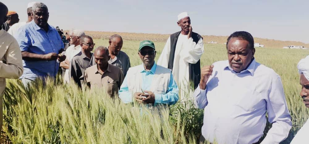 محافظ مشروع الجزيرة يعلن حملة لنظافة الغيط محافظ مشروع الجزيرة يعلن حملة لنظافة الغيط