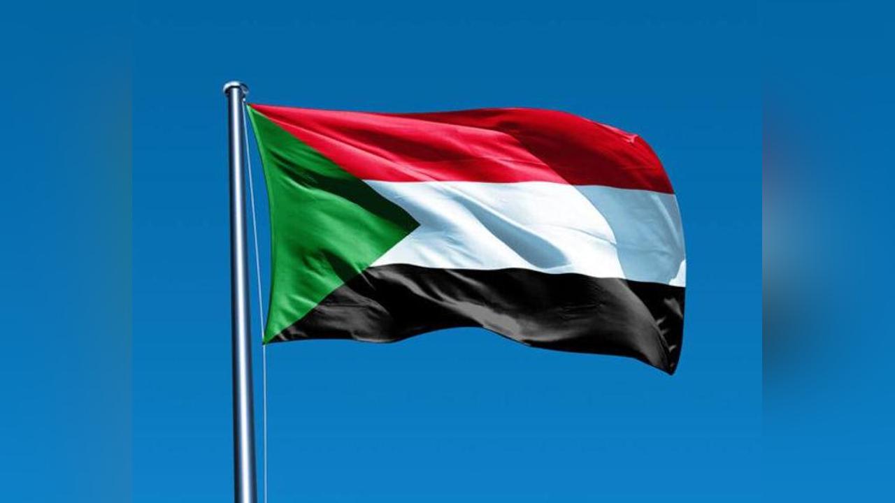 بروفيسور هاشم:المشكلة السودانية يحلها السودانيون أنفسهم بروفيسور هاشم:المشكلة السودانية يحلها السودانيون أنفسهم