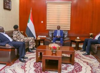 السودان يناشد بدعم المتضررين من الحريق في دارفور السودان يناشد بدعم المتضررين من الحريق في دارفور