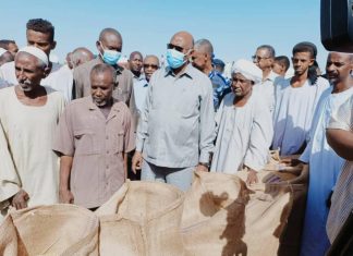 محافظ مشروع الجزيرة يعلن 18 جوال قمح متوسط إنتاج الفدان محافظ مشروع الجزيرة يعلن 18 جوال قمح متوسط إنتاج الفدان