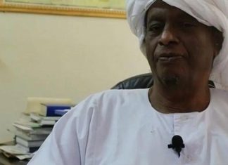 حسن مكي: حميدتي أخطأ خطأ فادحا وكتب نهايته حسن مكي: حميدتي أخطأ خطأ فادحا وكتب نهايته