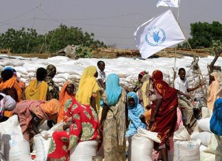 بعد مقتل 3 من موظفيه.. “الأغذية العالمي” يعلن تعليق نشاطه في السودان بعد مقتل 3 من موظفيه.. “الأغذية العالمي” يعلن تعليق نشاطه في السودان