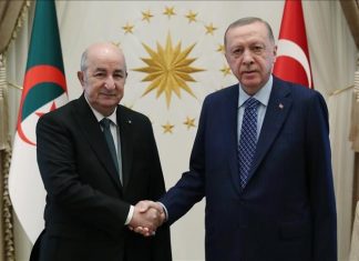 أردوغان وتبون يبحثان الوضع بالسودان والعلاقات الثنائية أردوغان وتبون يبحثان الوضع بالسودان والعلاقات الثنائية