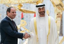 رئيسا مصر والإمارات يبحثان جهود وقف التصعيد في السودان رئيسا مصر والإمارات يبحثان جهود وقف التصعيد في السودان