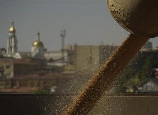 مستقبل اتفاقية الحبوب في 3 أسئلة (مقال) مستقبل اتفاقية الحبوب في 3 أسئلة (مقال)