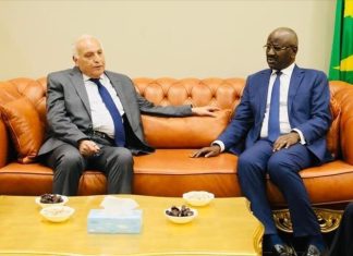 التجارة والأمن والمهاجرين.. أبرز ملفات جولة وزير الخارجية الجزائري للساحل (إضاءة) التجارة والأمن والمهاجرين.. أبرز ملفات جولة وزير الخارجية الجزائري للساحل (إضاءة)