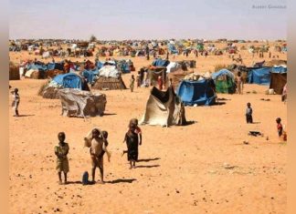 تحت خيم من أغصان الشجر.. سودانيون يعانون في تشاد تحت خيم من أغصان الشجر.. سودانيون يعانون في تشاد