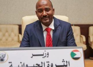 إستئناف صادر الماشية إستئناف صادر الماشية
