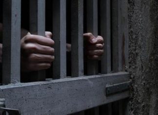 اطلاق سراح (96) نزيلا من سجون ولاية كسلا اطلاق سراح (96) نزيلا من سجون ولاية كسلا