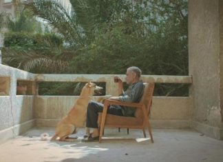 الإعلان عن برنامج الدورة السادسة من “أيام القاهرة السينمائية” الإعلان عن برنامج الدورة السادسة من "أيام القاهرة السينمائية"