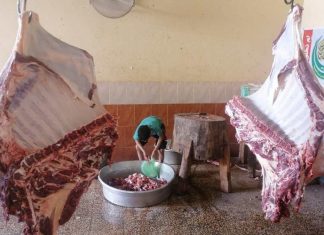 ارتفاع متزايد بأسعار المواشي.. هل تُحرم فئات من المصريين من الأضحية هذا العام؟ ارتفاع متزايد بأسعار المواشي.. هل تُحرم فئات من المصريين من الأضحية هذا العام؟