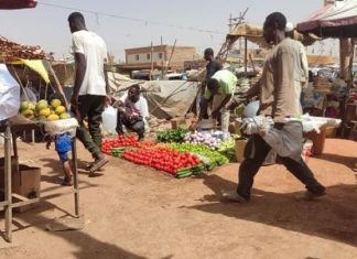 شح المواد الغذائية في الأسواق السودانية مع تناقص السيولة شح المواد الغذائية في الأسواق السودانية مع تناقص السيولة