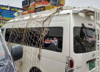 رغم الأزمات التي خلفتها الحرب الدائرة في السودان.. هذه المهن حققت رواجا كبيرا في وادي حلفا رغم الأزمات التي خلفتها الحرب الدائرة في السودان.. هذه المهن حققت رواجا كبيرا في وادي حلفا