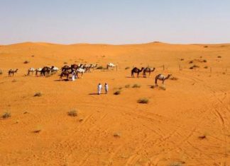 البشر الأوائل خارج أفريقيا… دور الانتقاء الجيني والعوامل المناخية البشر الأوائل خارج أفريقيا... دور الانتقاء الجيني والعوامل المناخية