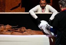 رمسيس وذهب الفراعنة: سيرة الفرعون في معرض باريسي رمسيس وذهب الفراعنة: سيرة الفرعون في معرض باريسي