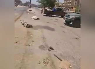 الجيش السوداني يوضح تفاصيل معارك مع قوات الدعم السريع وسقوط قتلى واسرى وتدمير اليات عسكرية ويكشف معلومات عن ملابس وسيارات قوات حميدتي الجيش السوداني يوضح تفاصيل معارك مع قوات الدعم السريع وسقوط قتلى واسرى وتدمير اليات عسكرية ويكشف معلومات عن ملابس وسيارات قوات حميدتي