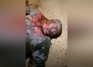 عاجل: مقتل والي غرب دارفور بعد اعتقاله من قوات الدعم السريع والتمثيل بجثته واردول يعلق عاجل: مقتل والي غرب دارفور بعد اعتقاله من قوات الدعم السريع والتمثيل بجثته واردول يعلق