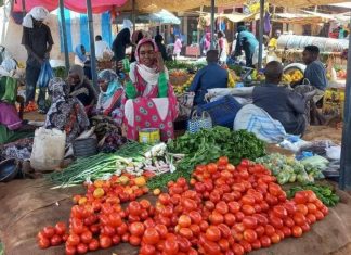 اشتباكات عنيفة في مناطق متفرقة بالسودان والفاو تحذر من انعدام الأمن الغذائي اشتباكات عنيفة في مناطق متفرقة بالسودان والفاو تحذر من انعدام الأمن الغذائي