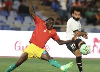 الحصاد العربي في أفريقيا بين انتصارات وخسارات الحصاد العربي في أفريقيا بين انتصارات وخسارات