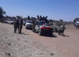 القوة المشتركة لحركات دارفور تتعرض إلى كمين ووقوع قتلى وجرحى القوة المشتركة لحركات دارفور تتعرض إلى كمين ووقوع قتلى وجرحى