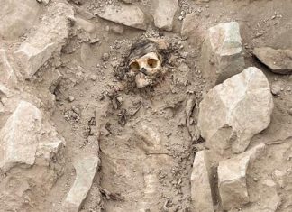 اكتشاف مومياء عمرها 3 آلاف عام في البيرو اكتشاف مومياء عمرها 3 آلاف عام في البيرو