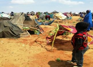 مسؤول : “الدعم السريع” دمرت كل المؤسسات في وسط دارفور مسؤول : “الدعم السريع” دمرت كل المؤسسات في وسط دارفور