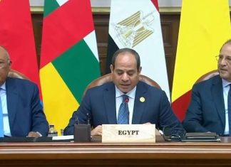 قمة دول جوار السودان بالقاهرة.. المشاركون ومستوى التمثيل قمة دول جوار السودان بالقاهرة.. المشاركون ومستوى التمثيل