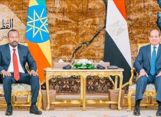 السيسي وآبي أحمد يتفقان على بدء مفاوضات “عاجلة” حول سد النهضة السيسي وآبي أحمد يتفقان على بدء مفاوضات "عاجلة" حول سد النهضة