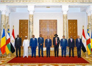 نالت مخرجاتها شبه إجماع لدى فرقاء السودان.. هل تعيد قمة القاهرة الدور المصري في المنطقة؟ نالت مخرجاتها شبه إجماع لدى فرقاء السودان.. هل تعيد قمة القاهرة الدور المصري في المنطقة؟