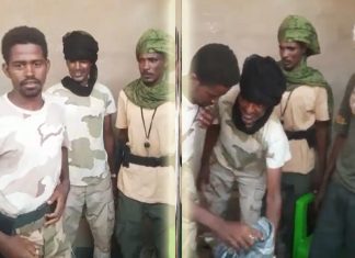 شاهد بالفيديو “الدعامة” يسخرون من “البرهان” ومقولته “ناس الشجرة بسلمو عليكم” شاهد بالفيديو “الدعامة” يسخرون من “البرهان” ومقولته “ناس الشجرة بسلمو عليكم”