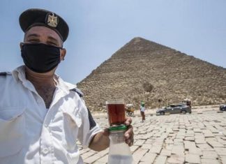 الحكومة المصرية تستورد السكر في ذروة الإنتاج المحلي الحكومة المصرية تستورد السكر في ذروة الإنتاج المحلي