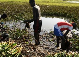 كيف تواجه الدول آثار تغير المناخ؟ كيف تواجه الدول آثار تغير المناخ؟