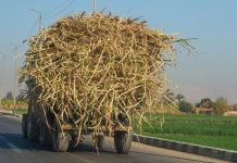 مصر: ارتفاع قياسي لسعر السكر بنسبة 150% خلال عام مصر: ارتفاع قياسي لسعر السكر بنسبة 150% خلال عام