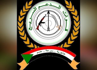 مسؤول بقوات الدعم السريع يصرح بأن “وقت السلام قد حان” في السودان مسؤول بقوات الدعم السريع يصرح بأن “وقت السلام قد حان” في السودان