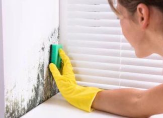 طرق إزالة العفن من الجدران طرق إزالة العفن من الجدران