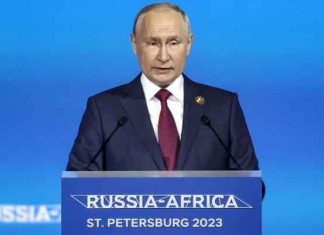 الرئيس الروسي: مستعدون لضمان تحقيق الأمن الغذائي للقارة الإفريقية الرئيس الروسي: مستعدون لضمان تحقيق الأمن الغذائي للقارة الإفريقية