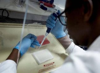 الدعم السريع ينهب معملا مركزيا به عينات لأمراض خطيرة وتحذيرات من انتشار الجمرة الخبيثة الدعم السريع ينهب معملا مركزيا به عينات لأمراض خطيرة وتحذيرات من انتشار الجمرة الخبيثة